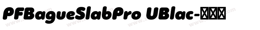 PFBagueSlabPro UBlac字体转换